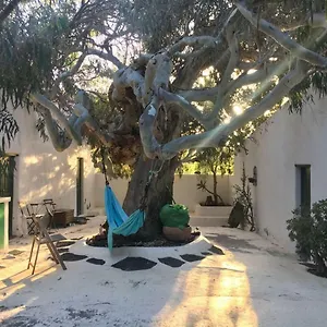  Couette-café Patio Ii At